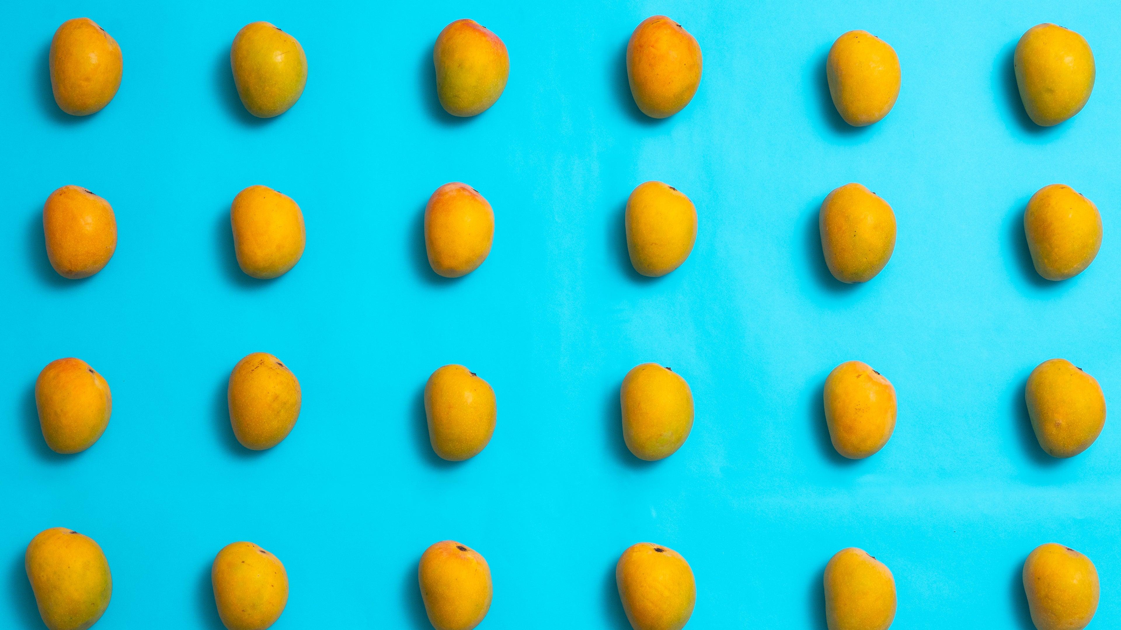 Organic Alphonso Mango Haapus